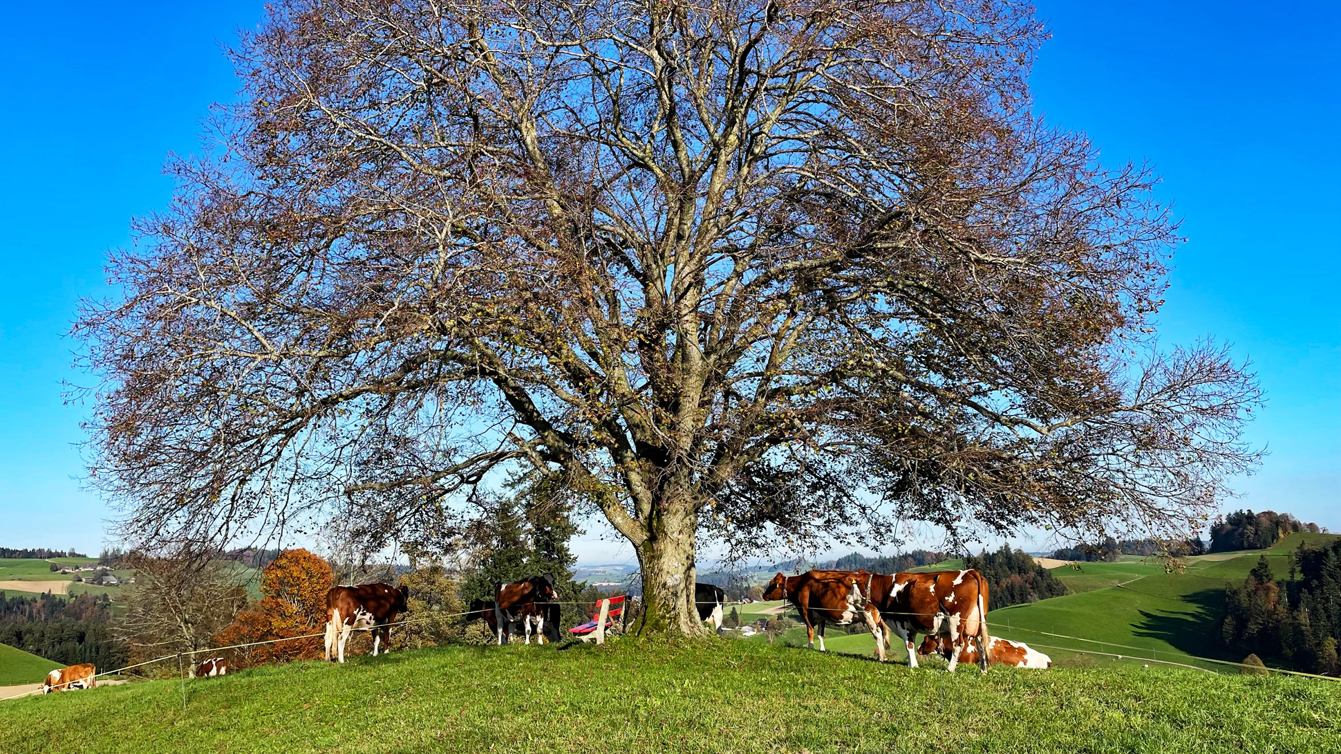 Randonnée de Huttwil à Sumiswald